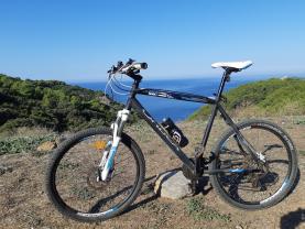 Location velos