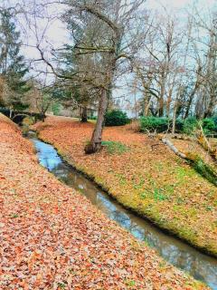 Location tondeuse