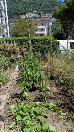 Location jardin potager