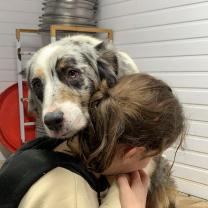 Service chien