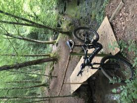 Location velos