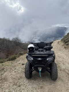 Location quad