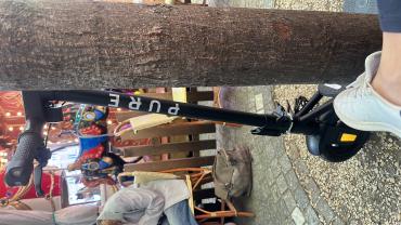 Location trottinette