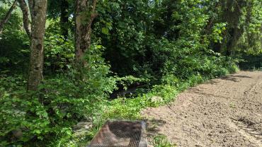 Location jardin