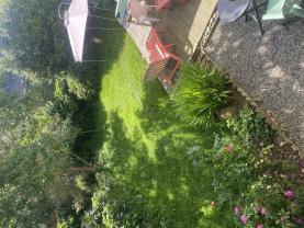 Location tondeuse