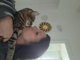 Service garde animaux
