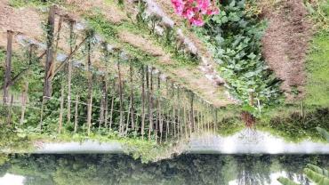 Location jardin potager