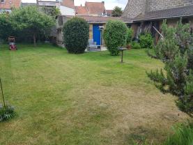 Service tonte de pelouse
