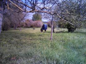 Location autre