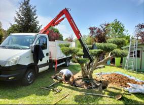 Service entretien espace vert