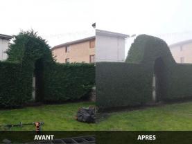 Service taille de haies