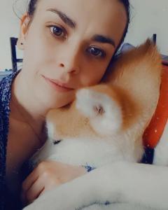 Service garde animaux