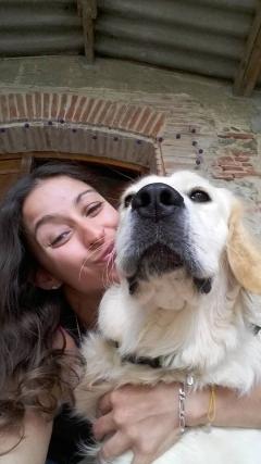Service garde animaux