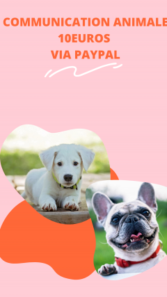 Service garde animaux