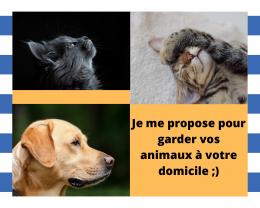 Service garde animaux