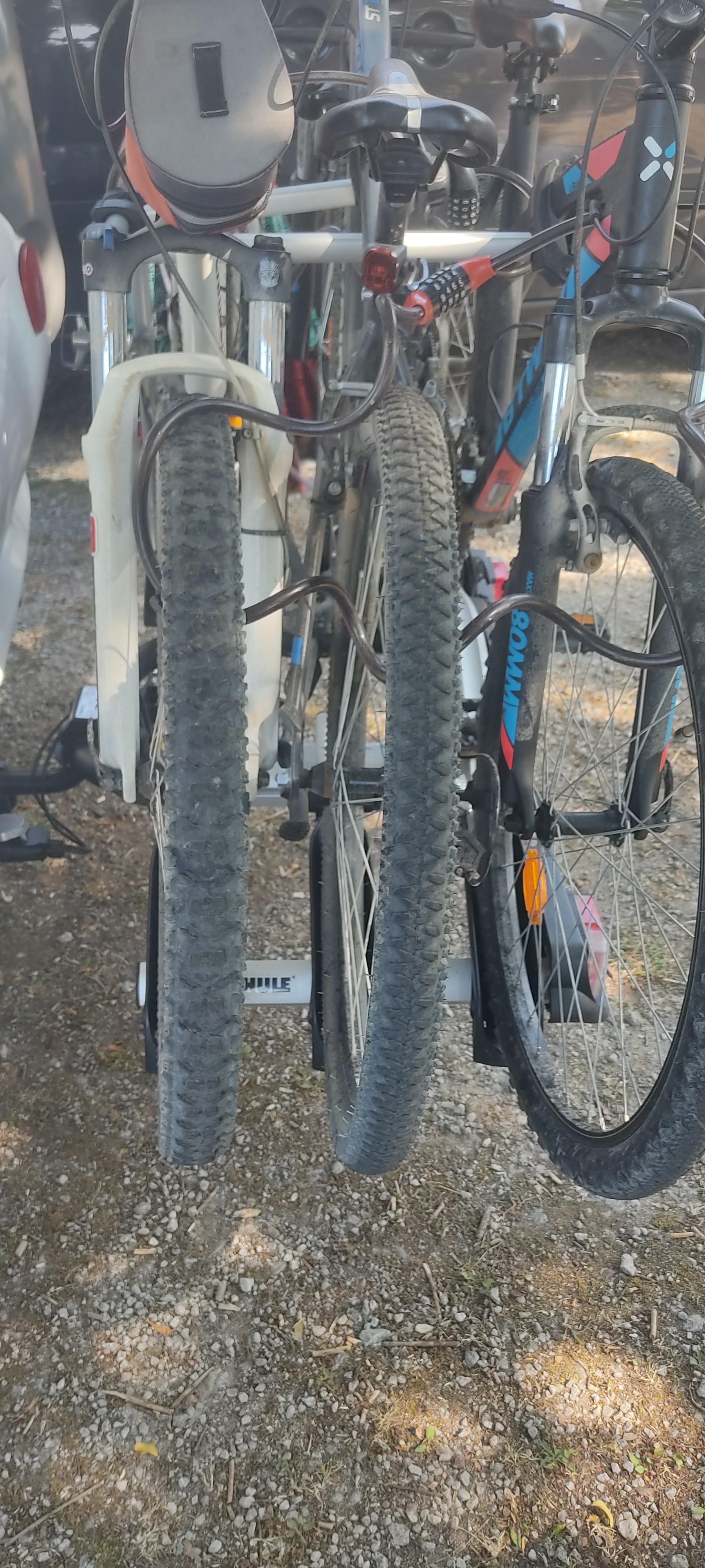 Location porte velo entre particuliers (54)