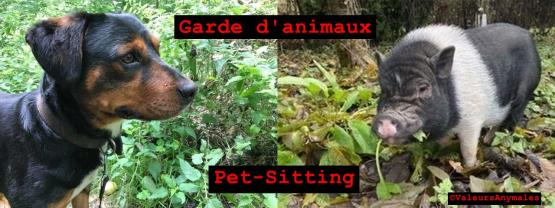 Service garde animaux