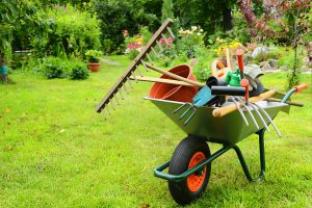 Service entretien jardin