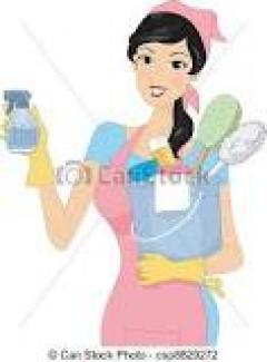 Service aide menagere
