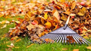 Service entretien jardin