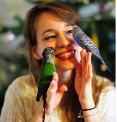 Service oiseaux