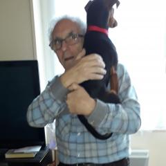 Service garde animaux