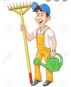 Service jardinage