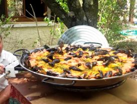 Location plat a paella