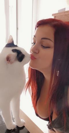 Service garde animaux