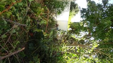 Location scie