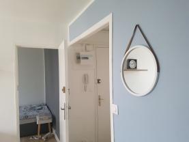 Location colocation appartement