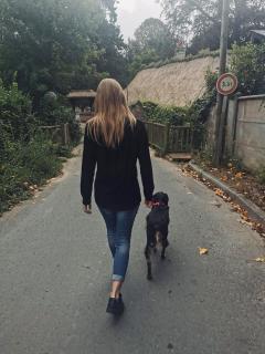 Service chien
