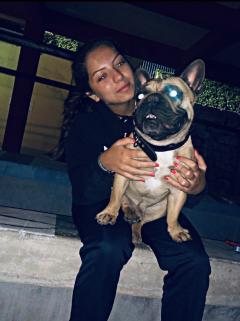 Service chien