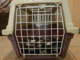 Location cage transport animaux