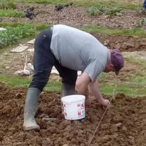 Service jardinage