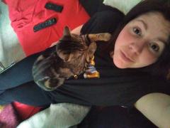 Service garde animaux