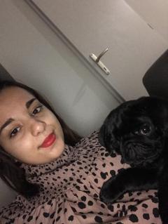 Service garde animaux