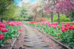 Service entretien jardin
