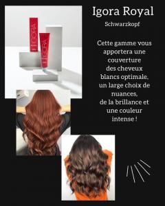 Service coiffure