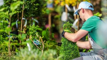 Service entretien espace vert