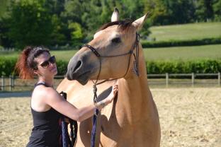 Service garde animaux