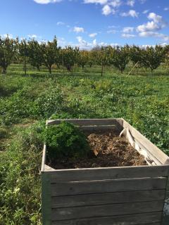 Location jardin potager