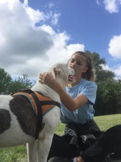 Service garde animaux