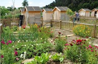 Location jardin potager
