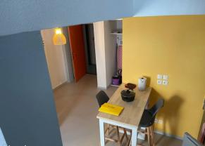 Location colocation appartement