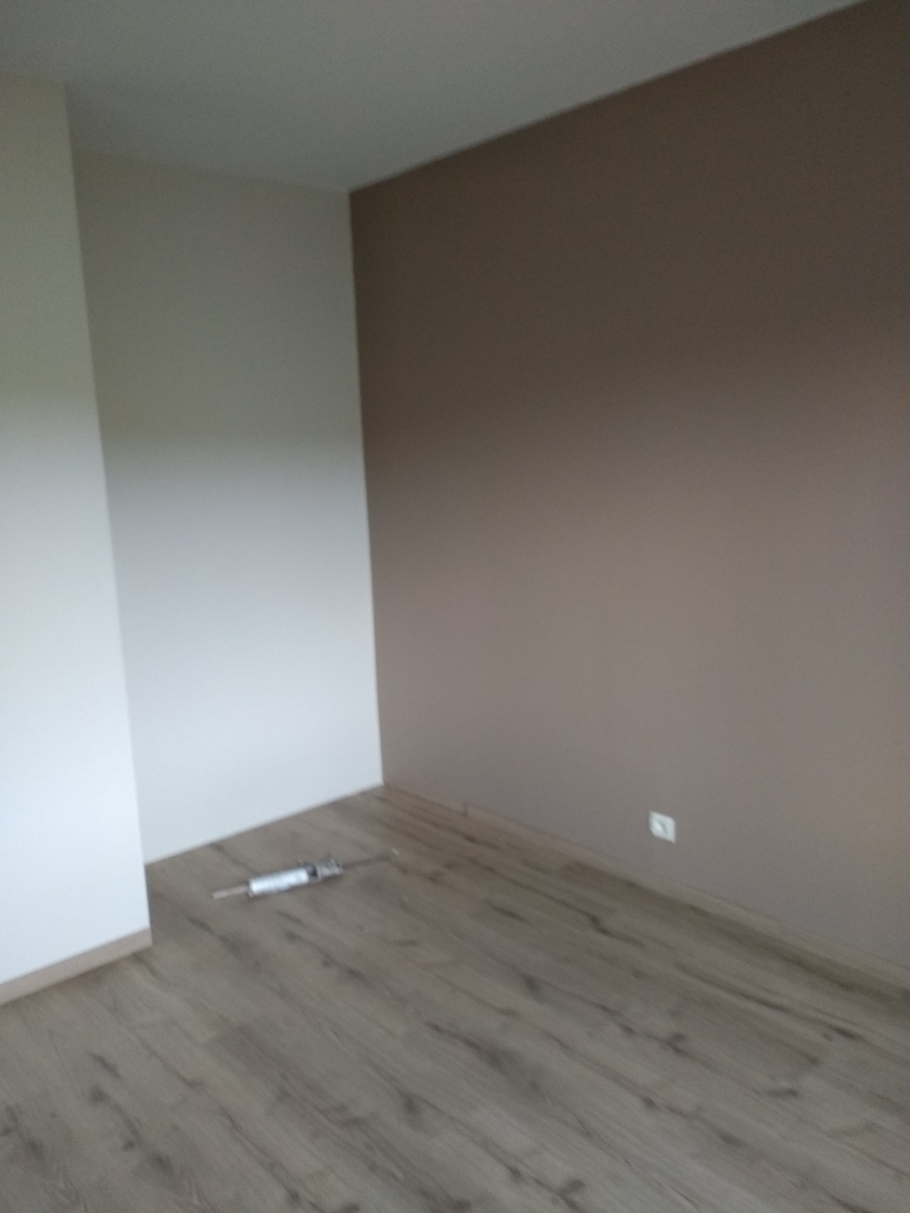 Service peintre entre particuliers (81)