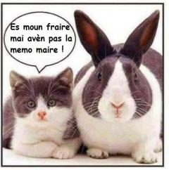 Service chat