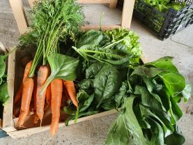 Location jardin potager