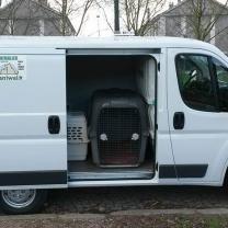 Service chien