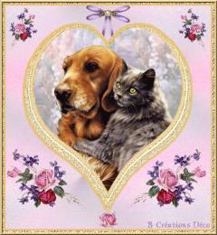 Service chien